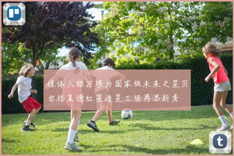 媒体人称万项为国家级未来之星贝尔格莱德红星造星工场再添新秀